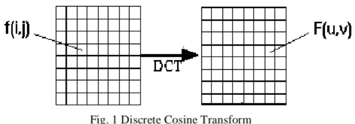 Fig. 1 Discrete Cosine Transform 