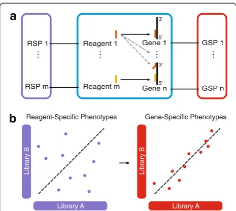 Fig. 1 Gene-specific phenotypes (GSPs; red) estimated fromoff-target-confounded RNAi screens