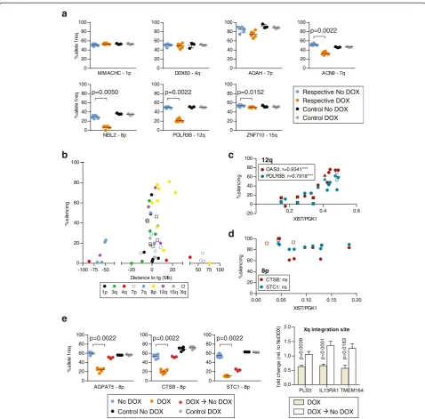 Fig. 3 Allelic silencing of flanking endogenous genes upon XIST induction. a Allele-discriminating RT-PCR pyrosequencing assay for genes closestto 5 Mb of integration site for each integration site, comparing triplicate cDNAs from untreated cells (No DOX) 