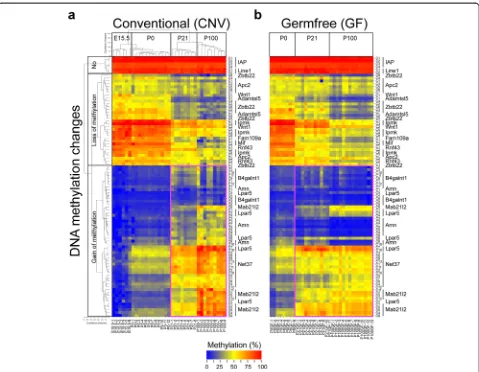 Fig. 5 The germ-free condition affects developmentally programmed CGI methylation. a Unsupervised hierarchical clustering analysis on the basisof DNA methylation profiling in mouse colon under conventional (CNV) conditions