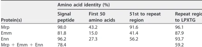 TABLE 2 Amino acid sequence identities in different regions of M and M-like proteinsa