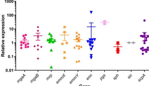 FIG 4 Expression analysis of Mga regulon genes. cDNA from 19 isolates grown to mid-log phase in richmedium were analyzed for the expression of Mga regulon genes