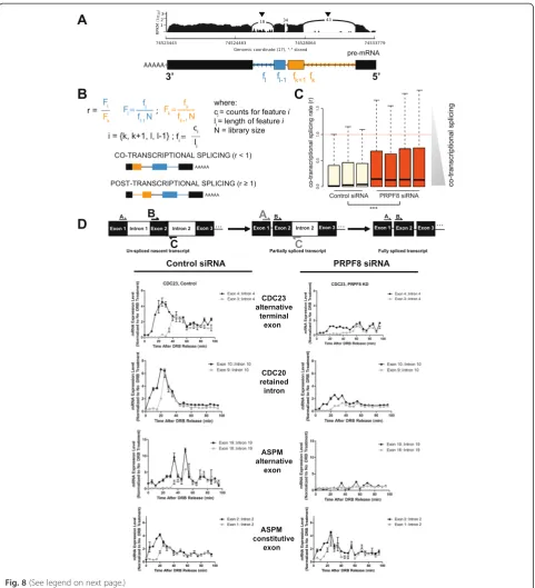 Fig. 8 (See legend on next page.)