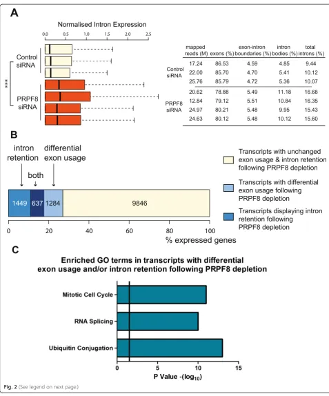 Fig. 2 (See legend on next page.)