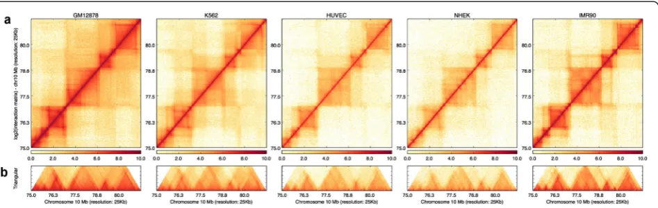 Fig. 1 Basic usage of HiCPlotter. Genomic region inside human chromosome 10 as viewed with HiCPlotter