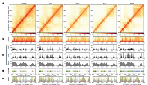Fig. 2 Adding tracks. Interaction matrices of GM12878, K562, HUVEC, NHEK, and IMR90 cells can be displayed as a heatmap (a) and rotated halfmatrix (b), with the range of the rotated half matrix being 8 megabases from the diagonal