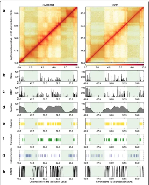 Fig. 3 (See legend on next page.)