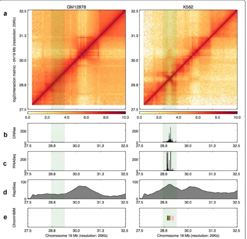 Fig. 4 A lincRNA locus exhibits active chromatin formation in K562 cells. a Hi-C contact maps are visualized as heatmaps for GM12878 and K562cells