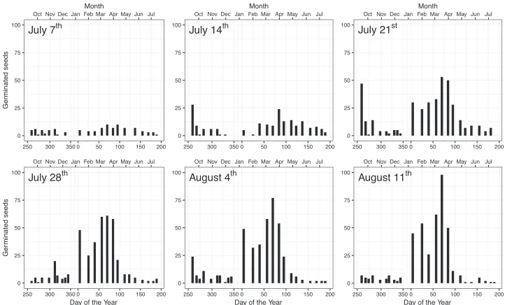 Figure 4. Germination patterns of L. polyphyllus under ambient weather conditions sampled weekly on six cutting dates (July 7th to August 11th) after seed set.