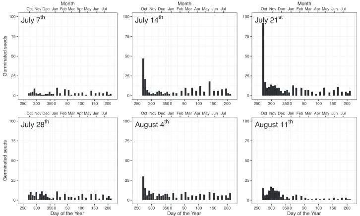 Figure 3. Germination patterns of L. polyphyllus in climate chambers conditions (15/5 °C and 20/10 °C di-urnally fluctuating temperatures) sampled weekly on six cutting dates (July 7th to August 11th) after seed set.