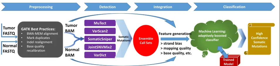 Fig. 1 SomaticSeq workflow. The workflow starts with FASTQ files for both the tumor and the matched normal sequencing reads, which areprocessed using Genome Analysis Toolkit (GATK) best practices to create two BAM files