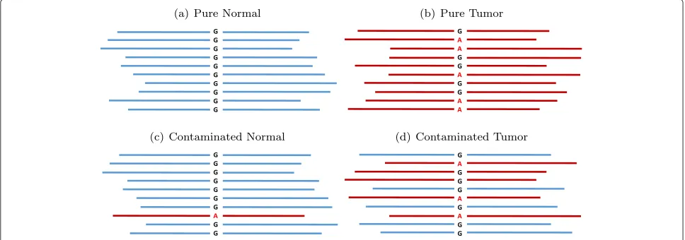 Fig. 3 Fnormal/pure tumor. Setting B is the contaminated normal/pure tumor. Setting C is the pure normal/contaminated tumor