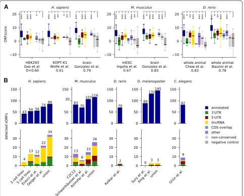 Fig. 6 Experimental evidence supports translation of predicted sORFs and protein expression