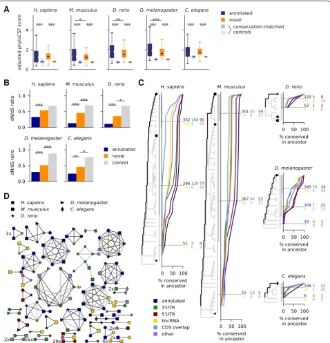 Fig. 2 Predicted sORFs are under purifying selection and often widely conserved. a Adjusted phyloCSF scores for predicted sORFs are higher than