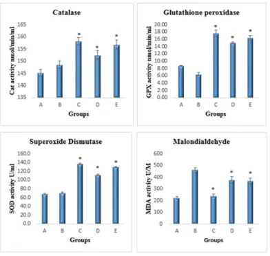 Figure 3. Effects of the copper (II) complex on antioxidant enzyme activities. A) Negative colon group, B) group exposed to AOM, C) grouptreated with 5-fluorouracil, D) group treated with 2.5 mg/kg copper (II) complex, E) group treated with 5 mg/kg copper 