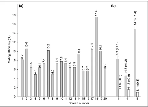 Figure 4The optimized interaction-mating protocol for screening a cDNA library of like protein, unpublished; (18) unknown protein, AAF13095; (19) unknown protein, BAA96996; (20) putative LEA (lateA