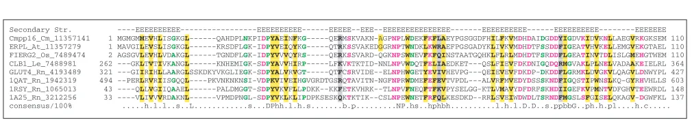 Figure 5Multiple alignment of the uncharacterized archaeal protein family that includes the alleged archaeal thymidylate synthase,MJ0757