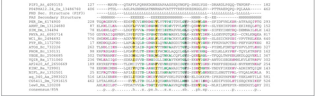 Figure 8A comparison of the multiple alignments of PIF3, its rice ortholog, and PAS domain proteins