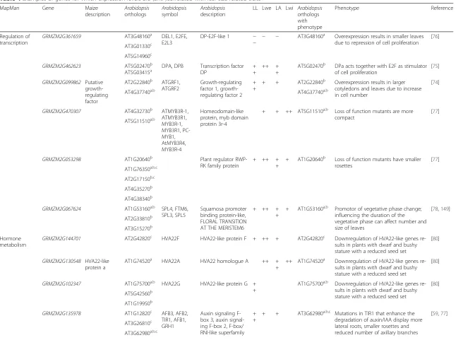 Table 4 Examples of genes for which expression levels are (anti-)correlated with leaf size-related traits
