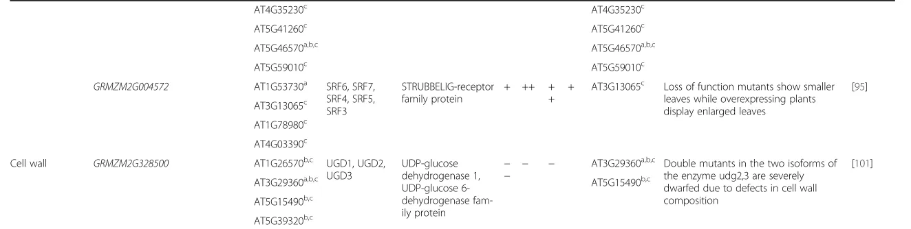 Table 4 Examples of genes for which expression levels are (anti-)correlated with leaf size-related traits (Continued)