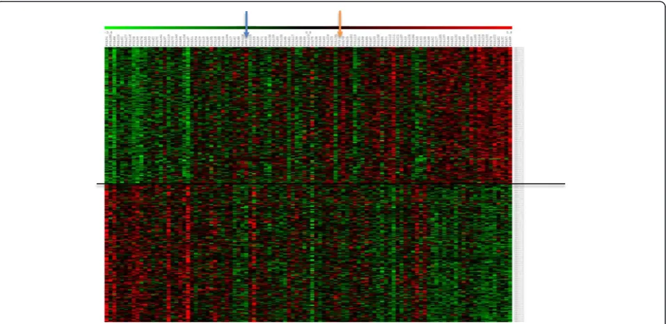 Fig. 2 Expression patterns of the top 1 % genes (anti-)correlated with leaf length. Columns represent the 103 RILs and parental lines B73 andH99, organized from small (left) to large (right) leaf length; rows represent gene expression profiles