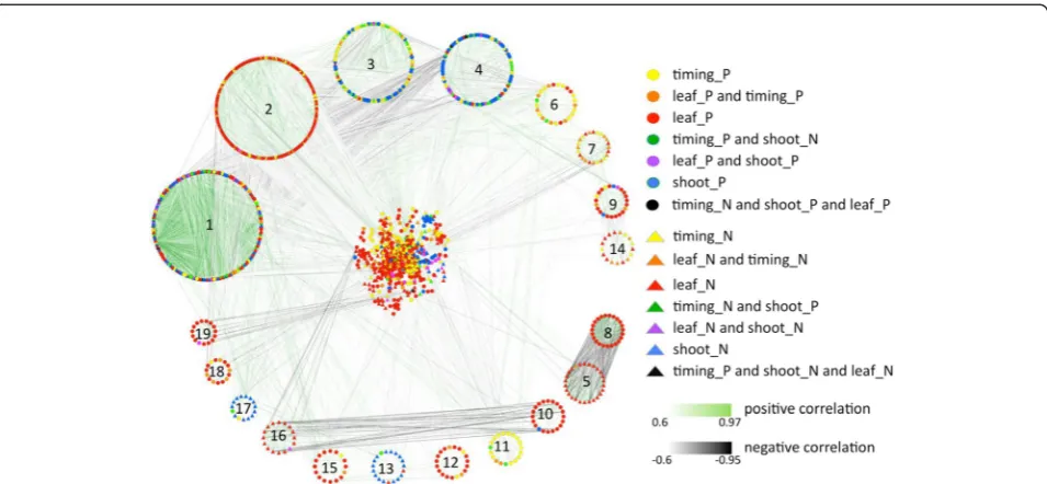 Fig. 4 Transcript co-expression network based on Pearson correlation. The network of transcript co-expression links with correlation coefficientshigher than 0.6 or lower than −0.6 as visualized in Cytoscape [148]