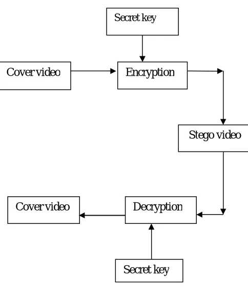 Figure 1. video Steganography 