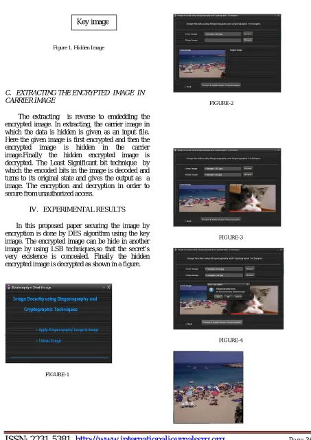 Figure 1. Hidden Image 