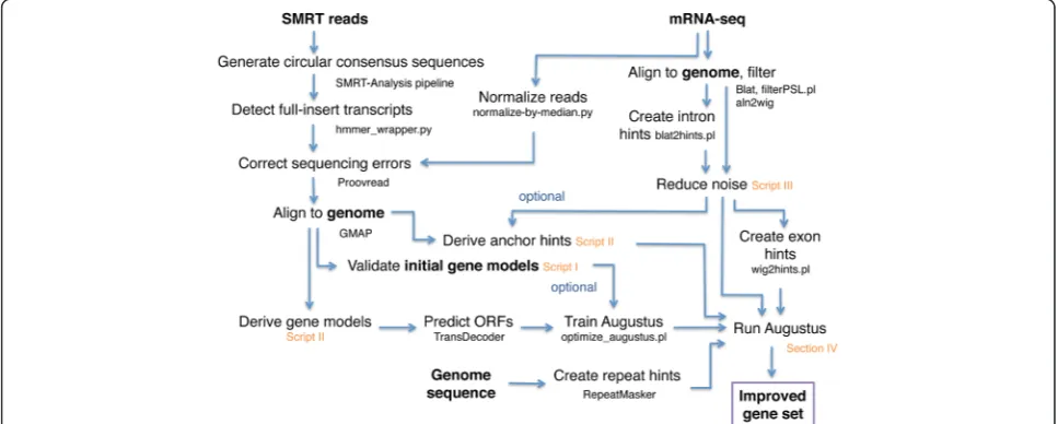 Table 8 Number of predicted genes in sugar beet and spinach