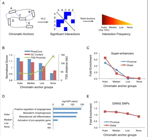 Fig. 1 Overview of chromatin interaction hubs.score and GC Content ratio ( a Definition of chromatin interaction hubs
