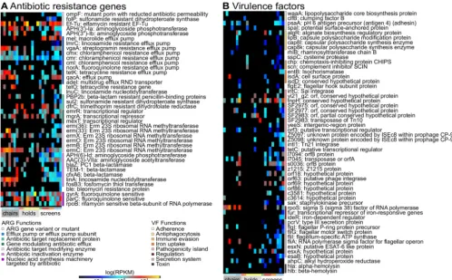 FIG 7 Quantification of antibiotic resistance marker and virulence factor abundances on subway surfaces