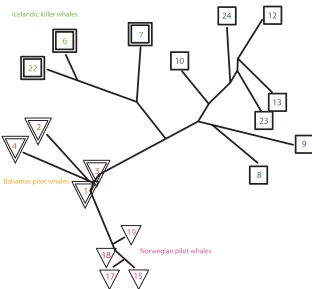FIG. 6. (Color online) The phylogeny that was generated using Phylip fromthe Whale FM citizen scientist classiﬁcations of the calls of killer whales.