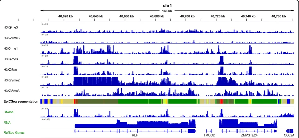 Fig. 1 EpiCSeg segmentation in a genome browser. The first seven tracks represent the input data, that is, read counts for each genomic bin andfor a panel of histone marks