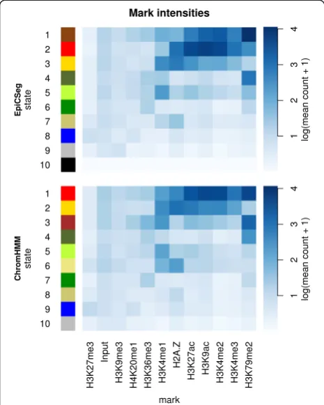 Fig. 10 Average mark intensities per state in the K562_1 dataset.The heatmaps show the average level of a certain mark in the binsannotated with a certain state