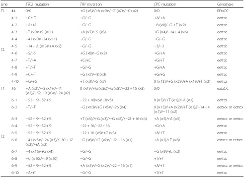 Table 3 Mutation analysis of likely triple mutants segregated from two representative T1 lines with normal phenotypes