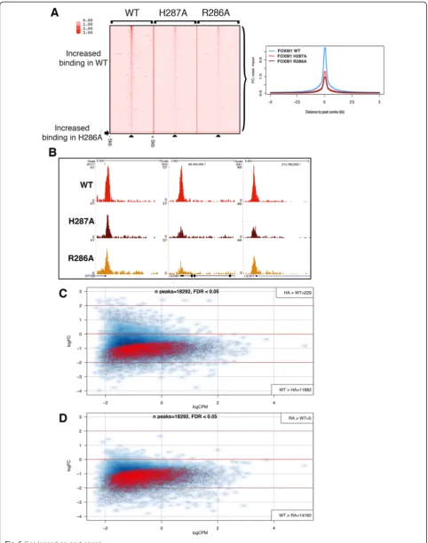 Fig. 5 (See legend on next page.)