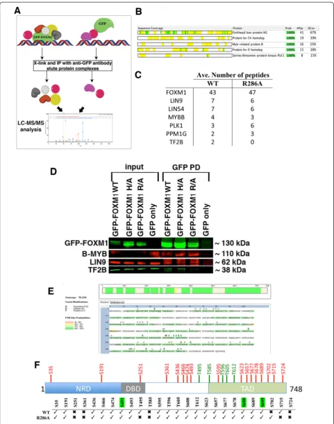 Fig. 6 (See legend on next page.)