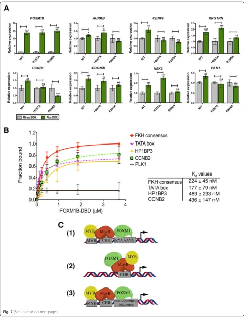 Fig. 7 (See legend on next page.)