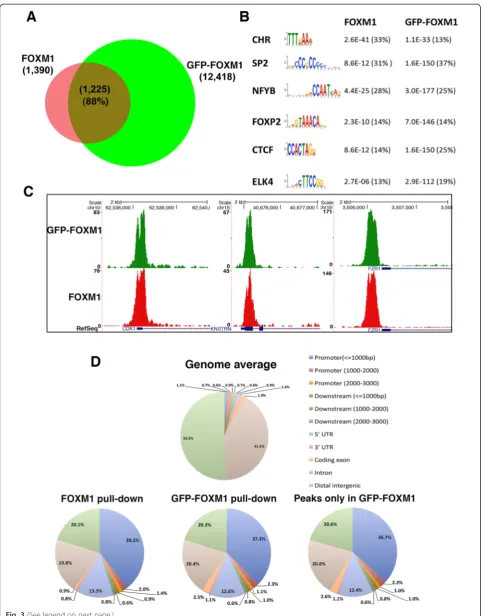 Fig. 3 (See legend on next page.)