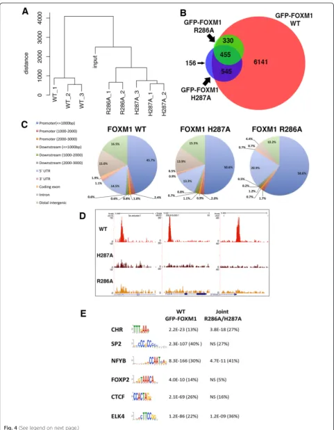 Fig. 4 (See legend on next page.)