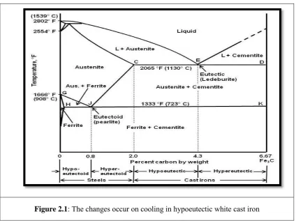 Figure 2.2: Microstructure of white cast iron 