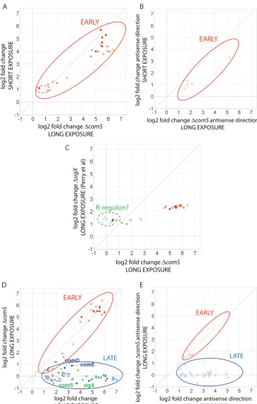 FIG 4 Correlations between gene expression changes induced by short (10 min) or long (100 min) exposureto CSP in S