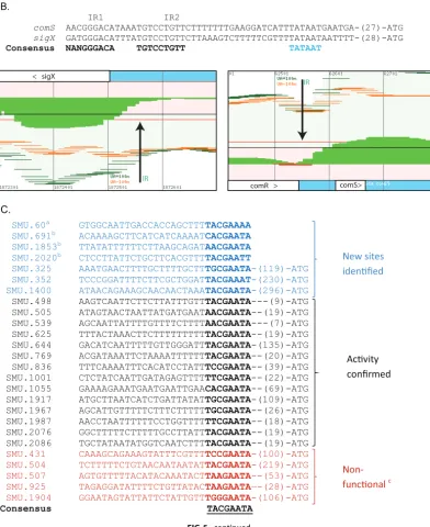 FIG 5 continued