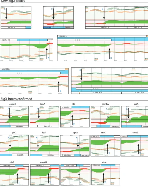 FIG 5 continued