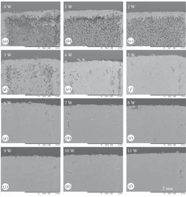 Figure 10. Panels (a–l) are SEM images of areas corresponding to laser power from no laser interaction to 11 W.