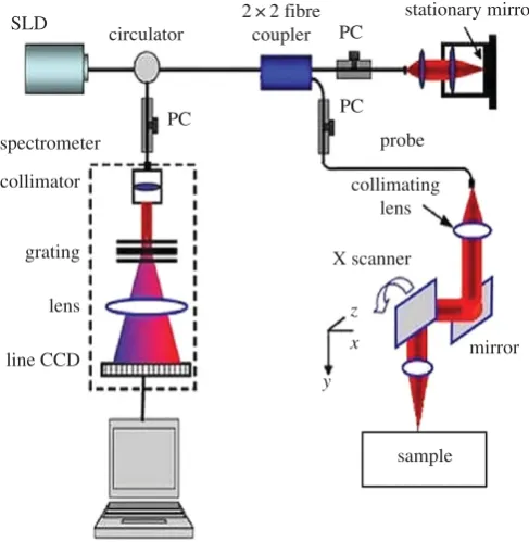 Figure 1. Schematic of the typical spectral domain PhS-OCT system set-up used in this study