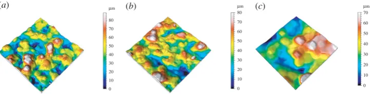 Figure 5. Surface topography data obtained fromFVMafter resampling. (of SLS 31 (a)SLS 11, (b)SLS 21 and (c)SLS 31