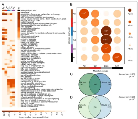 Fig. 2 Phenotypic importance of genes with consistent expression. a Enriched Gene Ontology biological process categories across commonlyexpressed genes