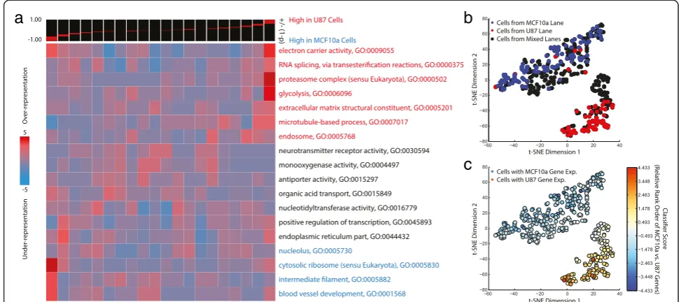 Fig. 7 Cell type separation by single-cell RNA-Seq.single-cell profiles based on the differentially expressed genes color-coated by the lane-of-origin of each profile