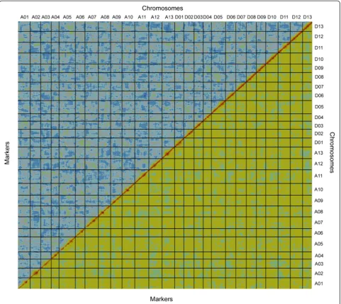 Fig. 1 Graphical representation of the high-quality linkage map of tetraploid cotton. Alignment of 4,049 bins along the 26 chromosomes revealsa pairwise BIT score (top-left diagonal) and REC score (low-right diagonal) in all pairs of marker bins, plotted h
